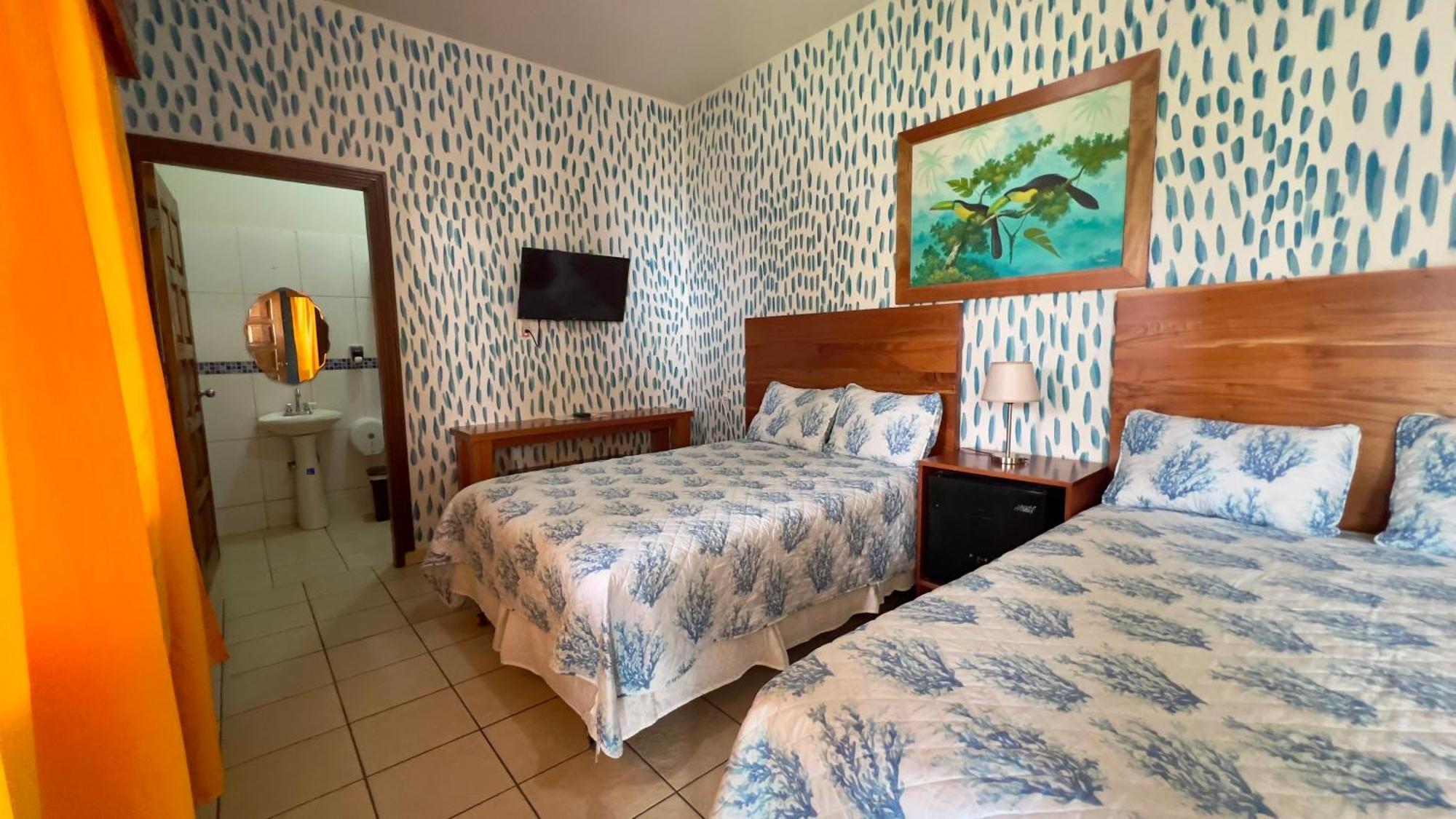 Hotel Vina Del Mar 오모아 객실 사진