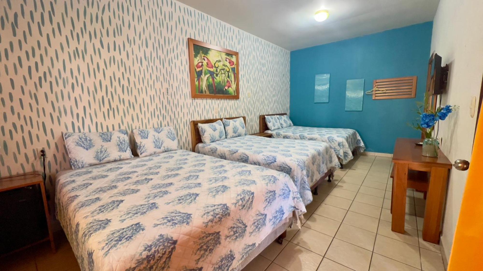 Hotel Vina Del Mar 오모아 외부 사진