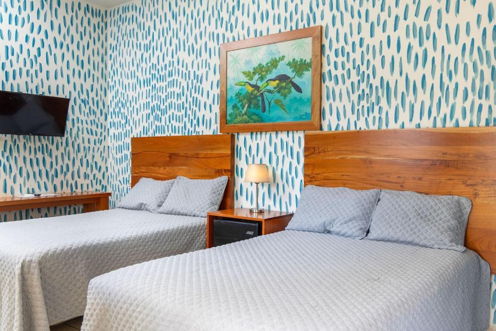 Hotel Vina Del Mar 오모아 외부 사진